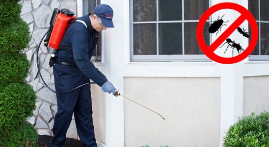 Urla Gümüşkurt İlaçlama böcek ilaçlama ve haşere kontrolü — ilaclama-tr.com